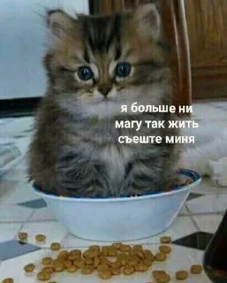 Sticker from ВСЕ СТИКИ ТУТ: @sekstick