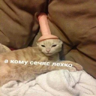 😓 emoji ВСЕ СТИКИ ТУТ: @sekstick Telegram sticker 16 of 72