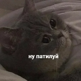 😒 emoji ВСЕ СТИКИ ТУТ: @sekstick Telegram sticker 18 of 72
