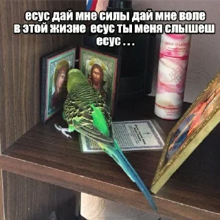 😪 emoji ВСЕ СТИКИ ТУТ: @sekstick Telegram sticker 13 of 72