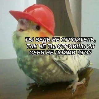 🤦‍♀ emoji ВСЕ СТИКИ ТУТ: @sekstick Telegram sticker 20 of 72