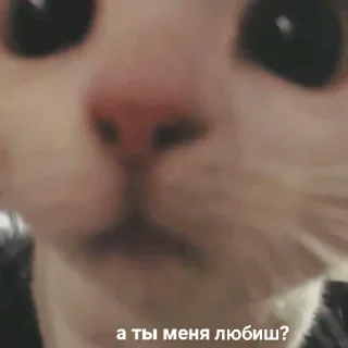 🥴 emoji ВСЕ СТИКИ ТУТ: @sekstick Telegram sticker 6 of 72