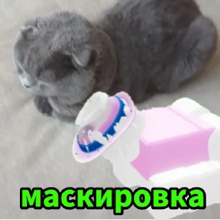 🎭 emoji Бедны Эпик 😥 Telegram sticker 14 of 16