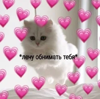 💜 emoji Love 💗🫶🏻 Telegram sticker 19 of 24