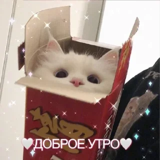 💕 emoji Love 💗🫶🏻 Telegram sticker 15 of 24