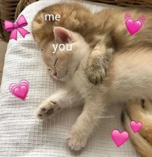 💌 emoji Love 💗🫶🏻 Telegram sticker 13 of 24