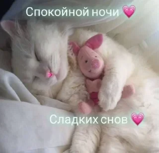 💖 emoji Love 💗🫶🏻 Telegram sticker 14 of 24