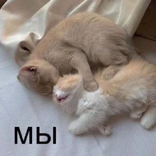 👥 emoji Love 💗🫶🏻 Telegram sticker 7 of 24