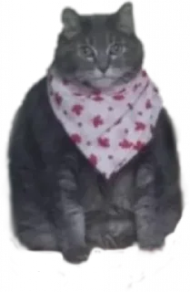 Sticker from SAVAGE CATTOS