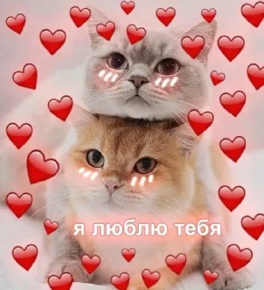 ❤️‍🔥 emoji Love 💗🫶🏻 Telegram sticker 8 of 24