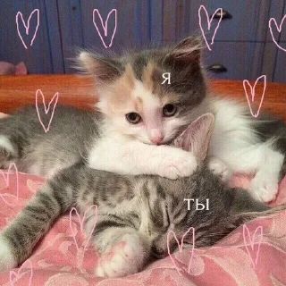 ❣️ emoji Love 💗🫶🏻 Telegram sticker 23 of 24