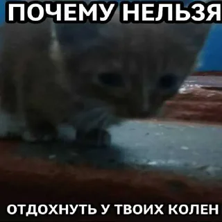 😔 emoji Пизда ➡️ @Ctikerubot Telegram sticker 5 of 16