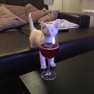 🍷 emoji котятки Telegram sticker 22 of 31