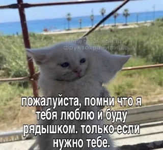 Sticker from стики от @fruktokhranilishte