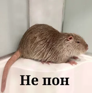 😜 emoji Стикеры @stickrubot @textmeru_bot Telegram sticker 9 of 50