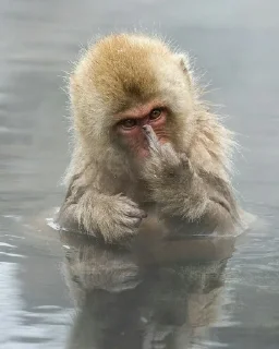 🖕 emoji БИБИЗЯНЫ ПОНЫ Telegram sticker 4 of 22