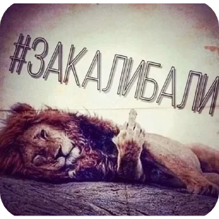 Sticker from хайп