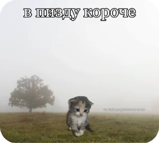 Sticker from Котики в суицидальной агонии