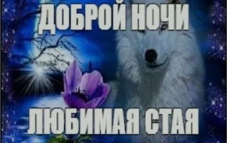 Sticker from для геев и лесбиянок