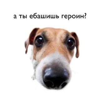 Sticker from для геев и лесбиянок