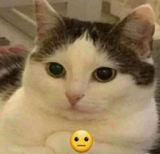Sticker from Kitty