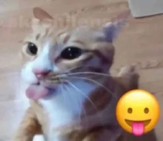 Sticker from Kitty