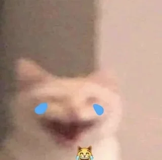Sticker from Kitty