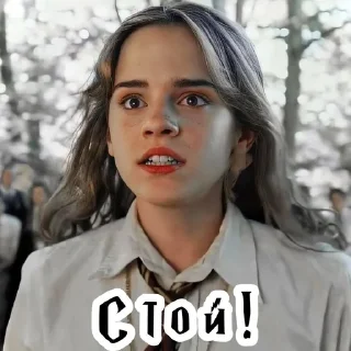 🙅 emoji тРиО @stickers_HarryPotter Telegram sticker 15 of 35