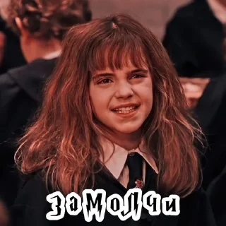 🤭 emoji тРиО @stickers_HarryPotter Telegram sticker 6 of 35