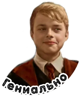 Sticker from Мародёры @stickers_HarryPotter