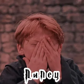 🤦 emoji тРиО @stickers_HarryPotter Telegram sticker 21 of 35