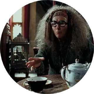 Sticker from Трелони @stickers_HarryPotter