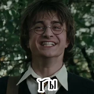 тРиО @stickers_HarryPotter sticker 1