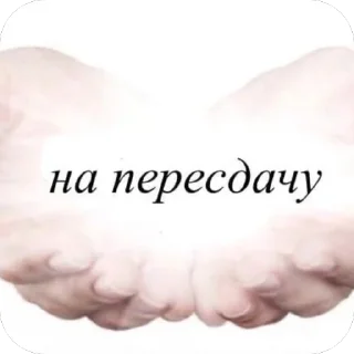 😇 emoji fashion designer Telegram sticker 6 of 57