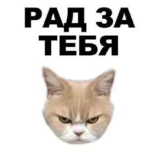 Sticker from Хз