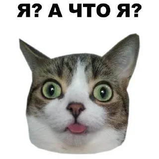 Sticker from Хз