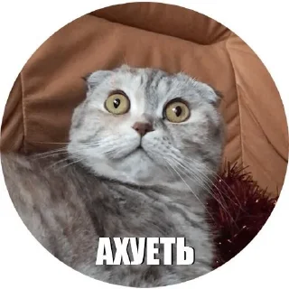 Sticker from Хз