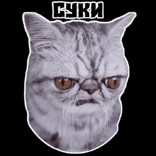 Sticker from Хз