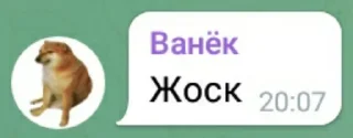 💀 emoji самые тупые сообщения Telegram sticker 8 of 27