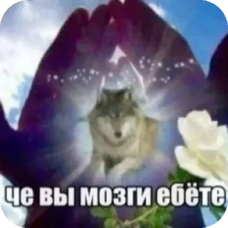 Sticker from @CLOOBHUB <- БОЛЬШЕ