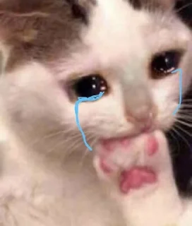😭 emoji мяу мяу Telegram sticker 10 of 11