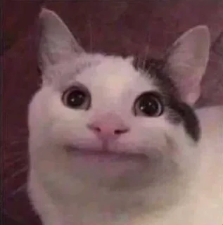 😐 emoji мяу мяу Telegram sticker 11 of 11