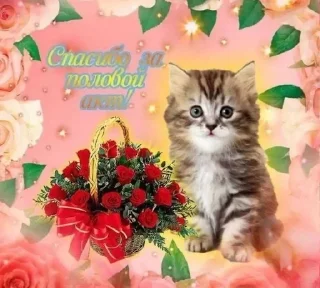 Sticker from головка от хуя