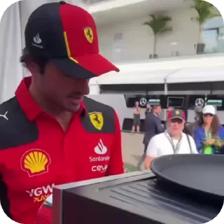 Sticker from f1 grid like a totem animals