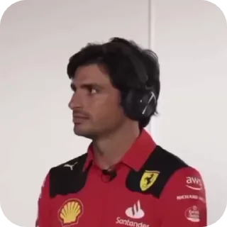 Sticker from f1 grid like a totem animals