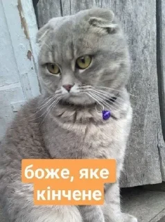 Sticker from Рисік