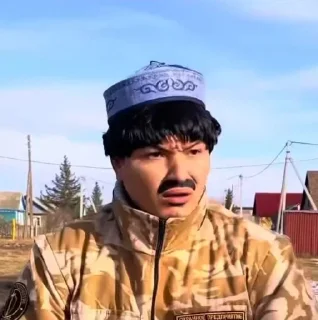 ПЕТРОВИЧ ЗАКОН ПОХУЙ sticker 3