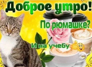 Sticker from одноклассники