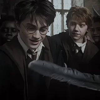 Sticker from Harry Potter @sasweirdo @MoiStikiBot