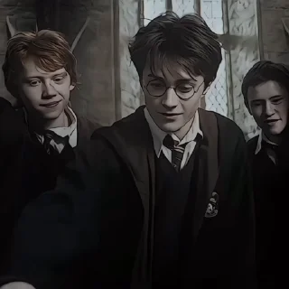 Sticker from Harry Potter @sasweirdo @MoiStikiBot